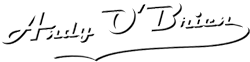 Andy O'Brien Logo